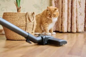 Top 10 Pet Hair Carpet Cleaners 2023